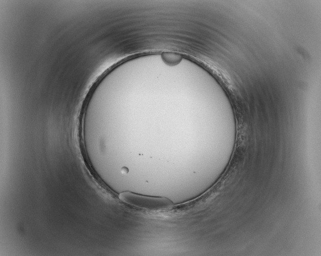 X0000116651086201001041045