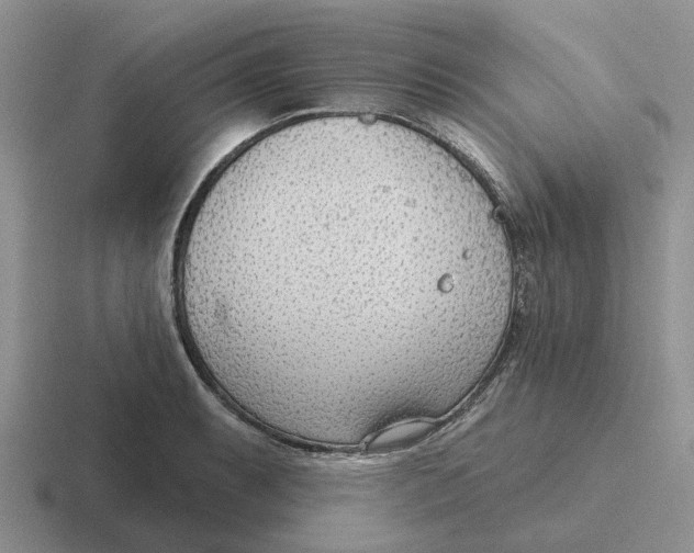 X0000116651087201001041045