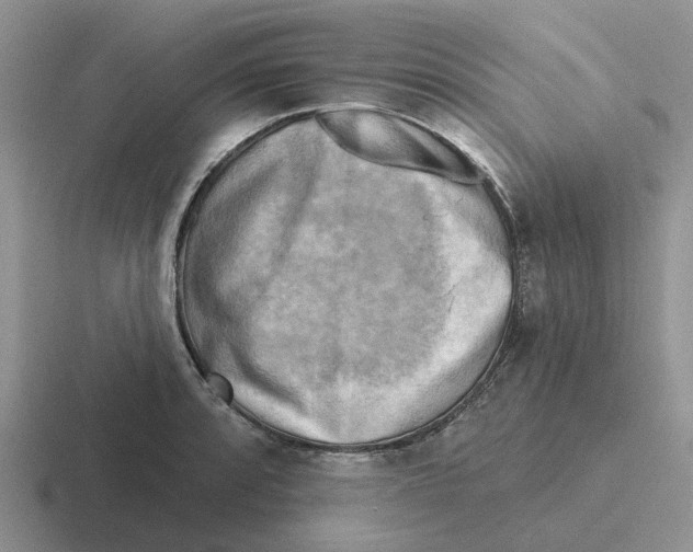 X0000116651088201001041045