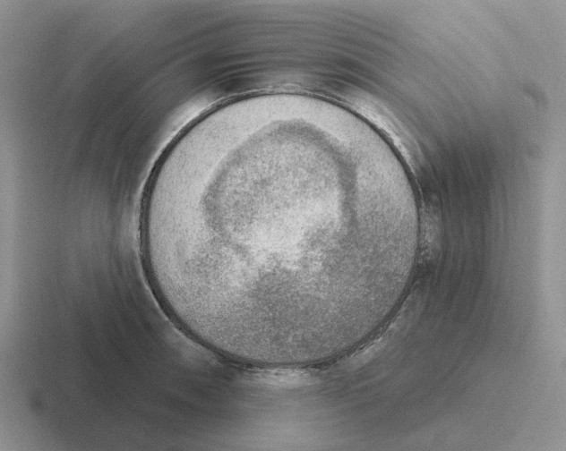 X0000116651090201001041045