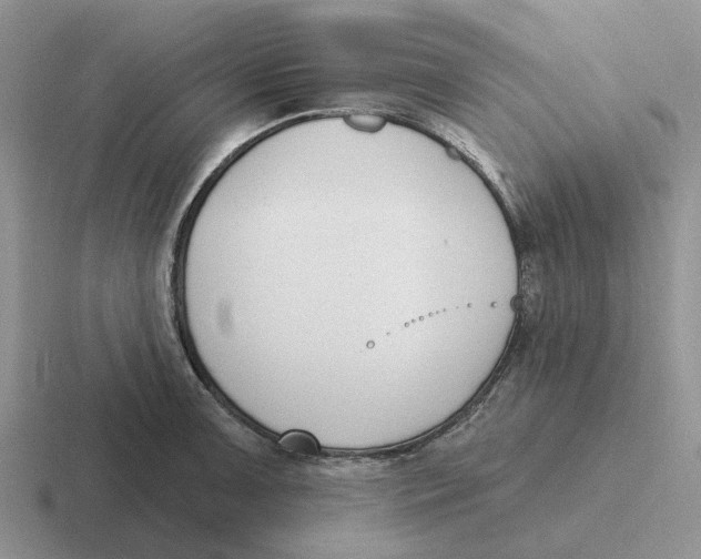 X0000116651091201001041045