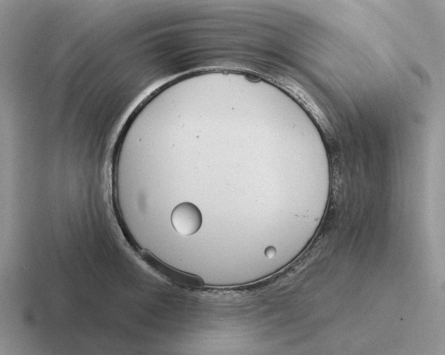 X0000116651092201001041045