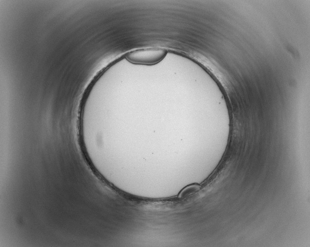 X0000116651093201001041045