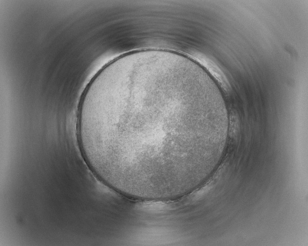 X0000116651094201001041045