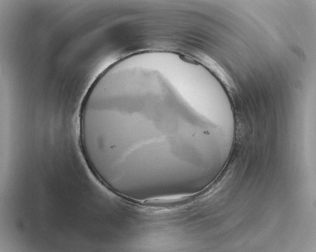 X0000116651095201001041045