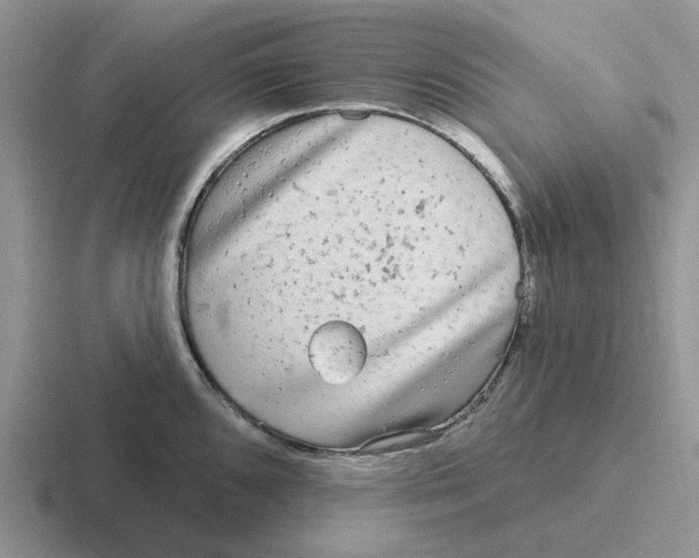 X0000116651096201001041045