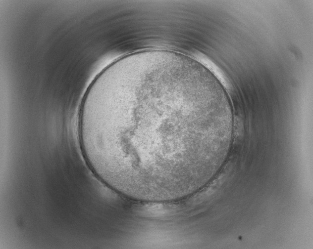 X0000116651098201001041045