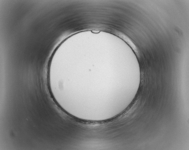 X0000116651099201001041045