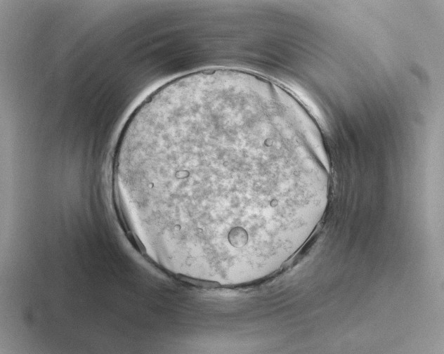 X0000116651100201001041045