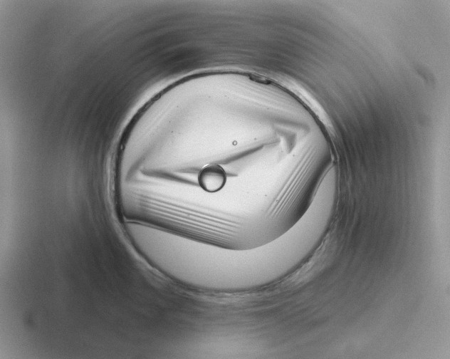 X0000116651101201001041045