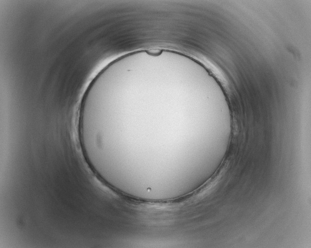 X0000116651102201001041045