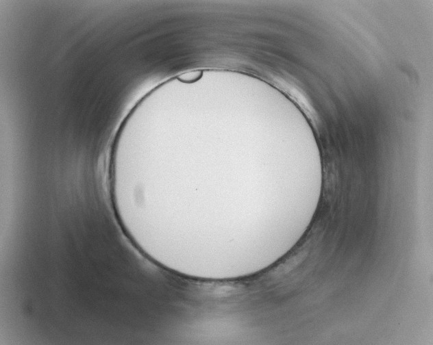 X0000116651103201001041045