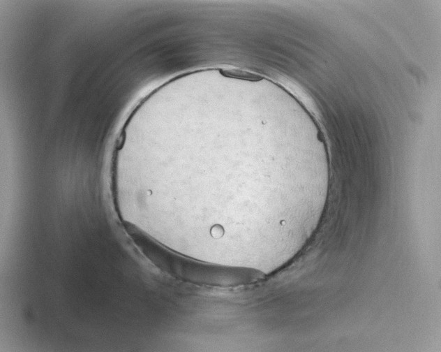 X0000116651104201001041045