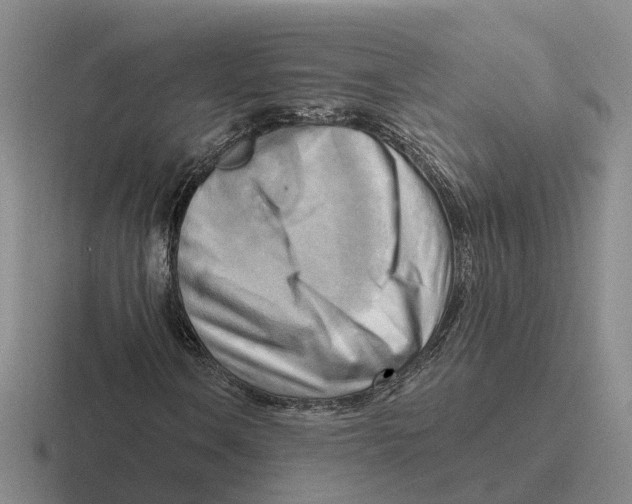 X0000116651106201001041045