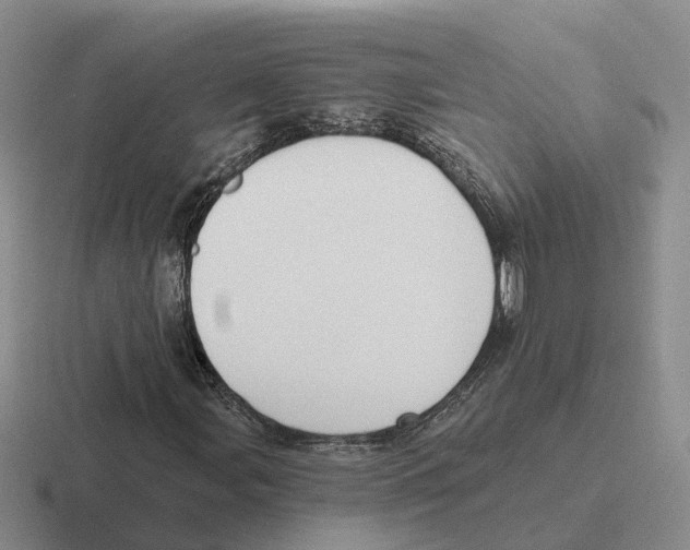 X0000116651107201001041045