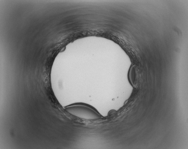 X0000116651109201001041045