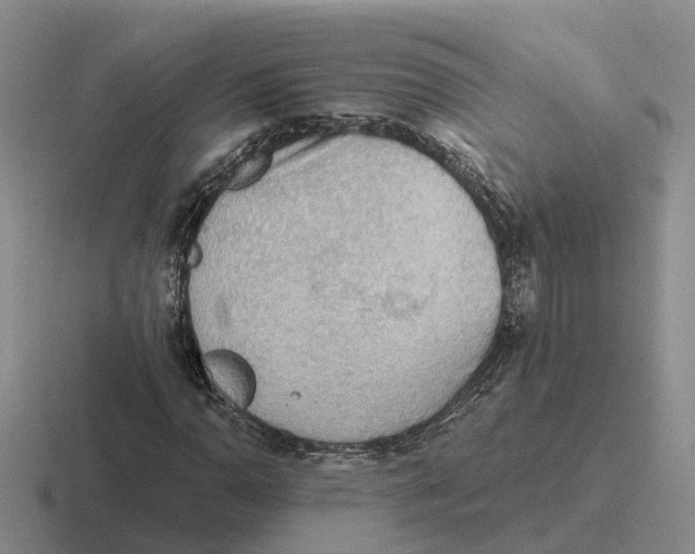 X0000116651110201001041045