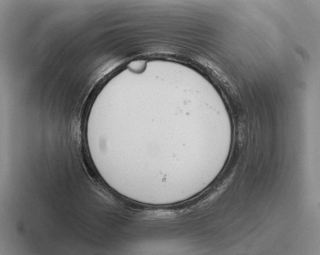 X0000116651113201001041045