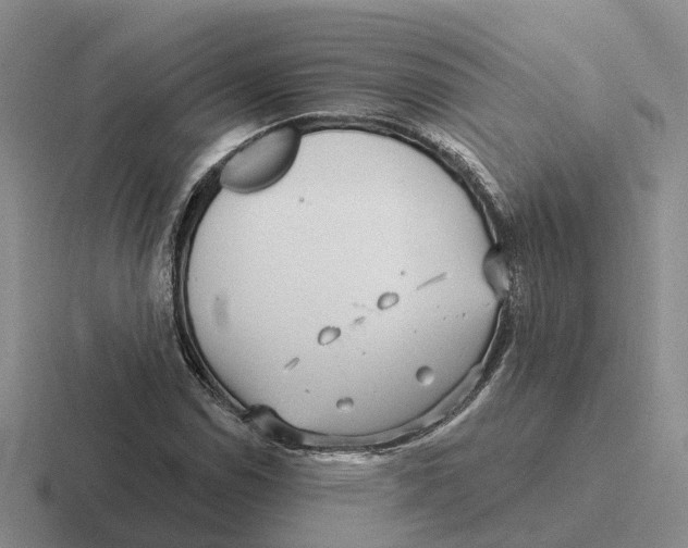 X0000116651114201001041045