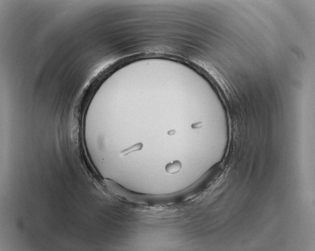 X0000116651115201001041045