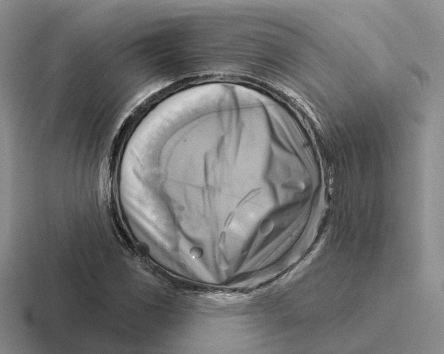 X0000116651117201001041045