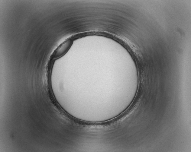 X0000116651118201001041045