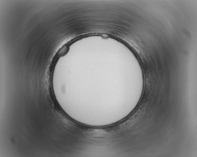 X0000116651119201001041045