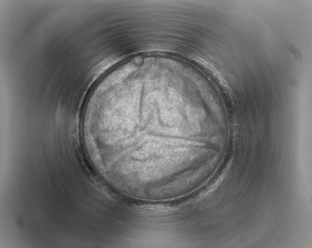 X0000116651121201001041045