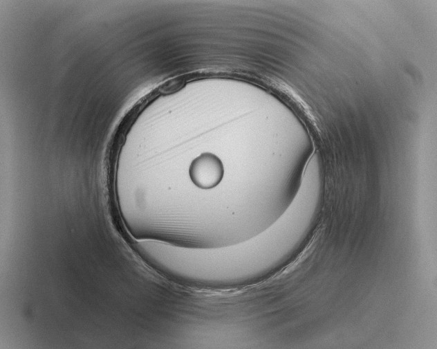 X0000116651122201001041045