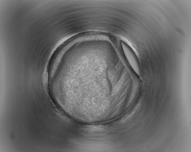 X0000116651125201001041045