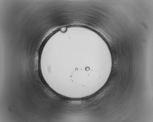 X0000116651126201001041045