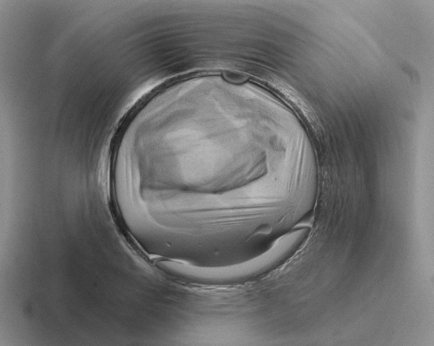 X0000116651127201001041045