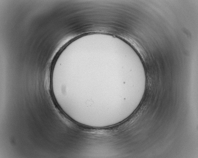 X0000116651131201001041045