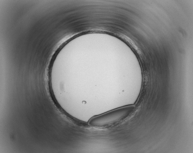 X0000116651133201001041045