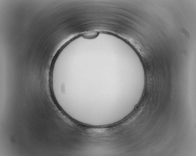 X0000116651134201001041045