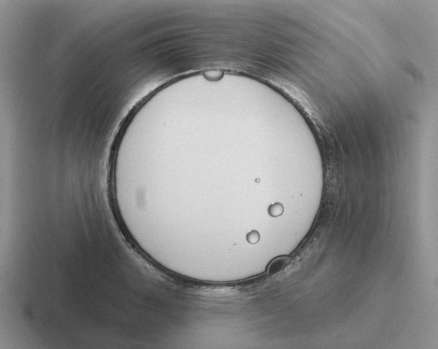 X0000116651135201001041045