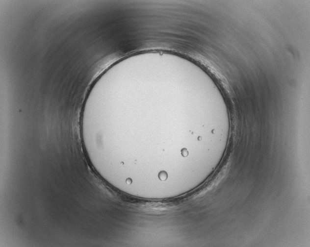 X0000116651137201001041045