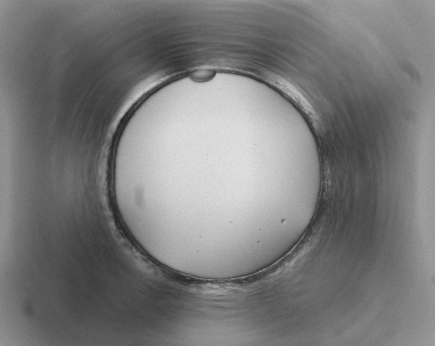 X0000116651138201001041045