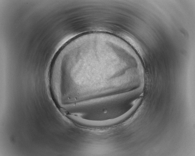 X0000116651141201001041045