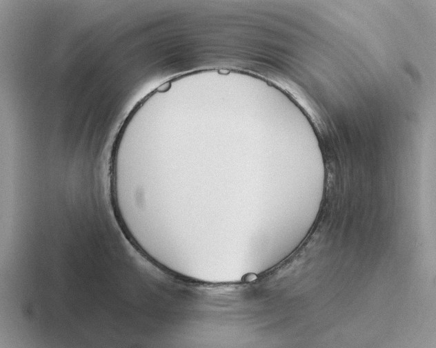 X0000116651143201001041045