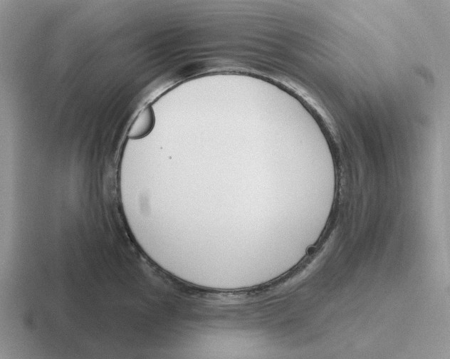 X0000116651145201001041045