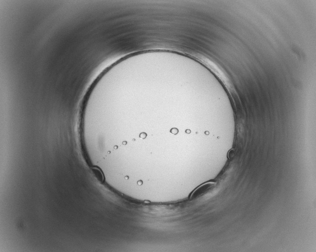 X0000116651149201001041045