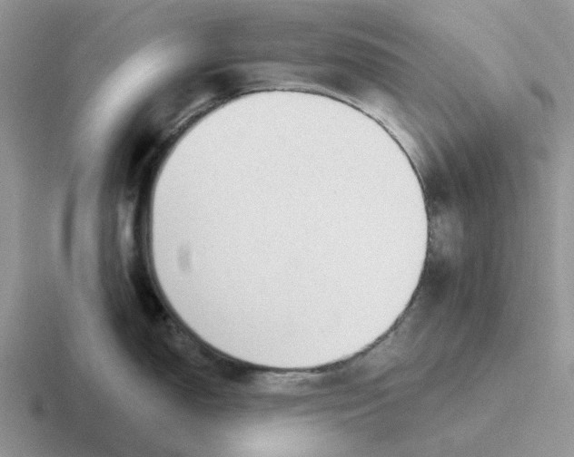 X0000116651150201001041045