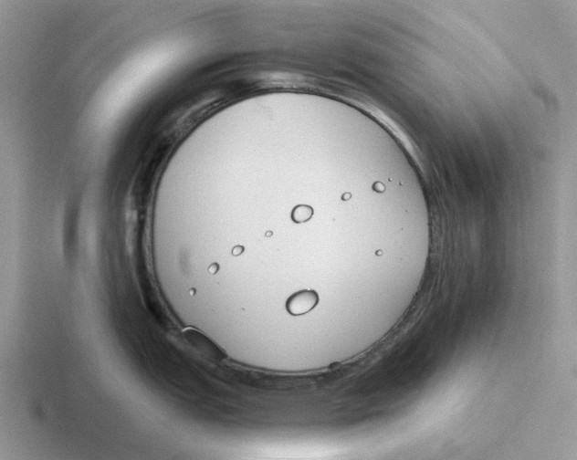 X0000116651151201001041045