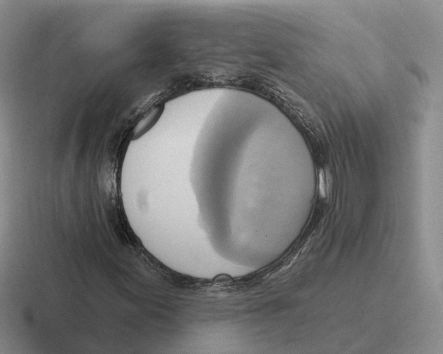 X0000116651155201001041045