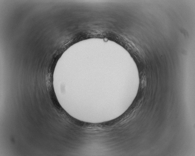 X0000116651156201001041045