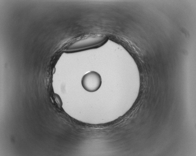 X0000116651157201001041045