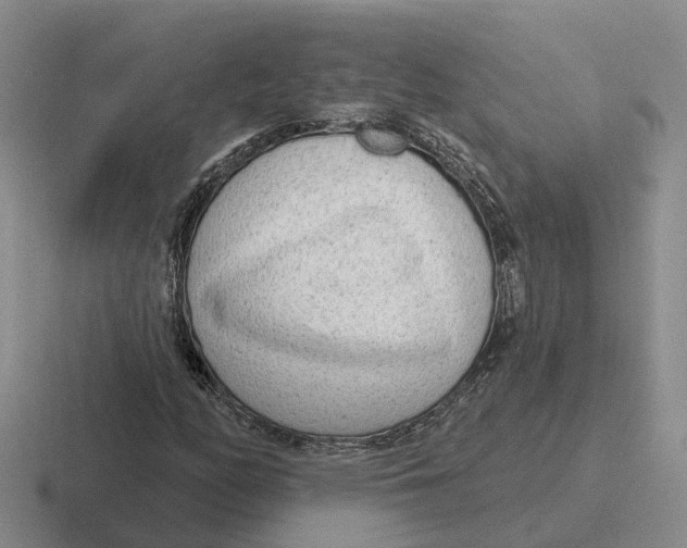 X0000116651158201001041045