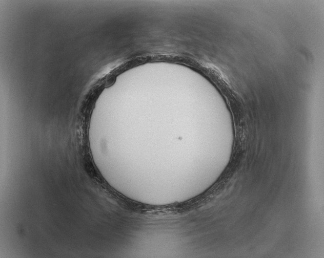 X0000116651159201001041045