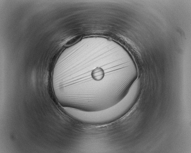 X0000116651161201001041045